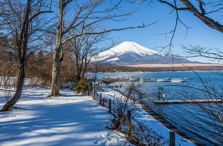 山中湖 デート 冬